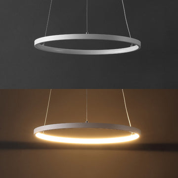 Brice Modern Contemporary Iron Integrated LED Pendant